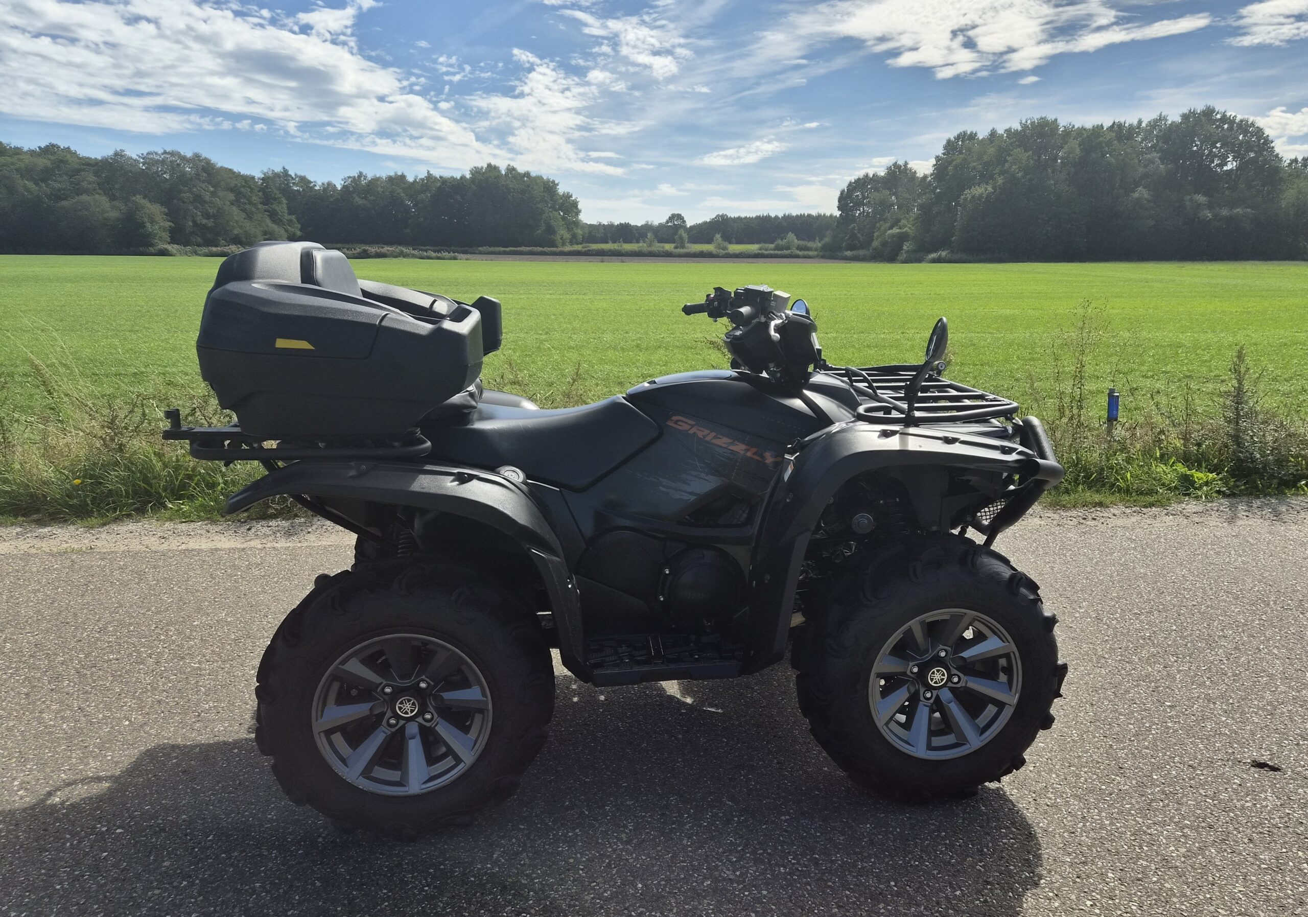 Yamaha Grizzly 700 4x4 met auto kenteken - Afbeelding 3